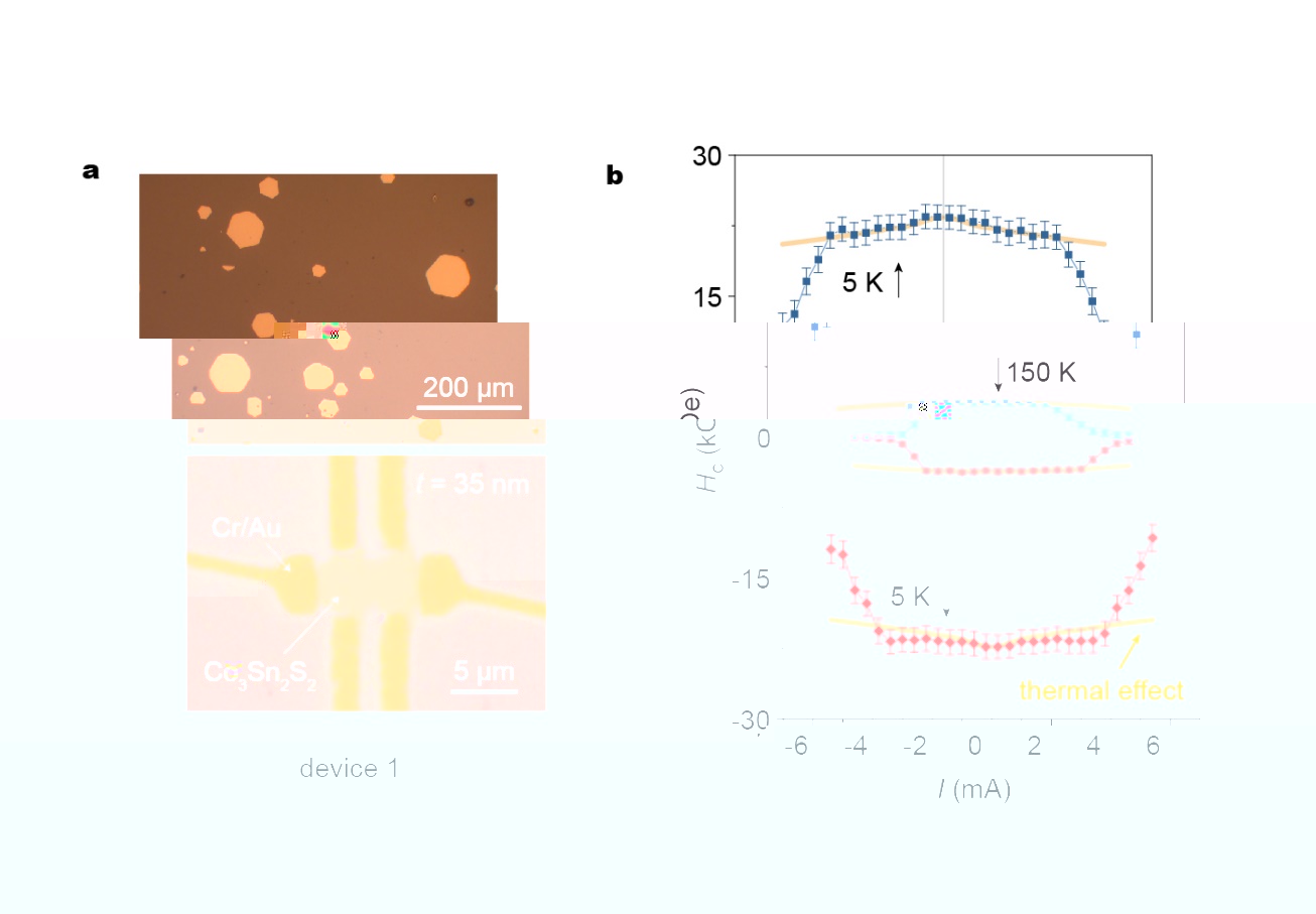 說明: ChartDescription automatically generated